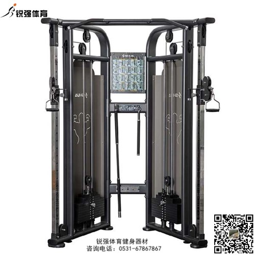 大飛鳥綜合訓(xùn)練器