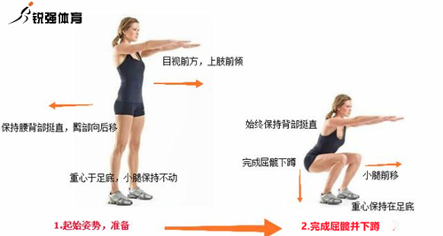 深蹲動(dòng)作.jpg